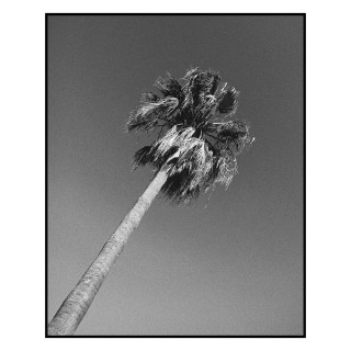 <a href="https://christophboecken.de/instarchive/01914d7293c8c8d9eca6bb570ab399d5">Permalink</a>