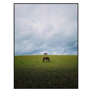 <a href="https://christophboecken.de/instarchive/1b0ab282f6a2b3a7b17ec3d5d4f8513a">Permalink</a>