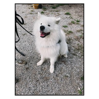 <a href="https://christophboecken.de/instarchive/903b3d7c62aa899b11de405085f88735">Permalink</a>