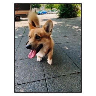 <a href="https://christophboecken.de/instarchive/bedc35f2d2f37a0d8db375c97bc8800d">Permalink</a>